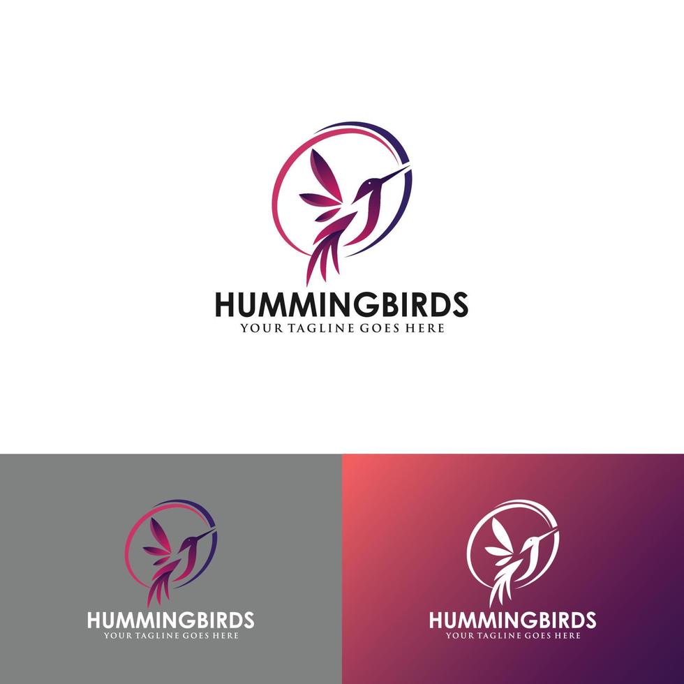 vector de diseño de logotipo de colibrí con estilos de línea y color completos