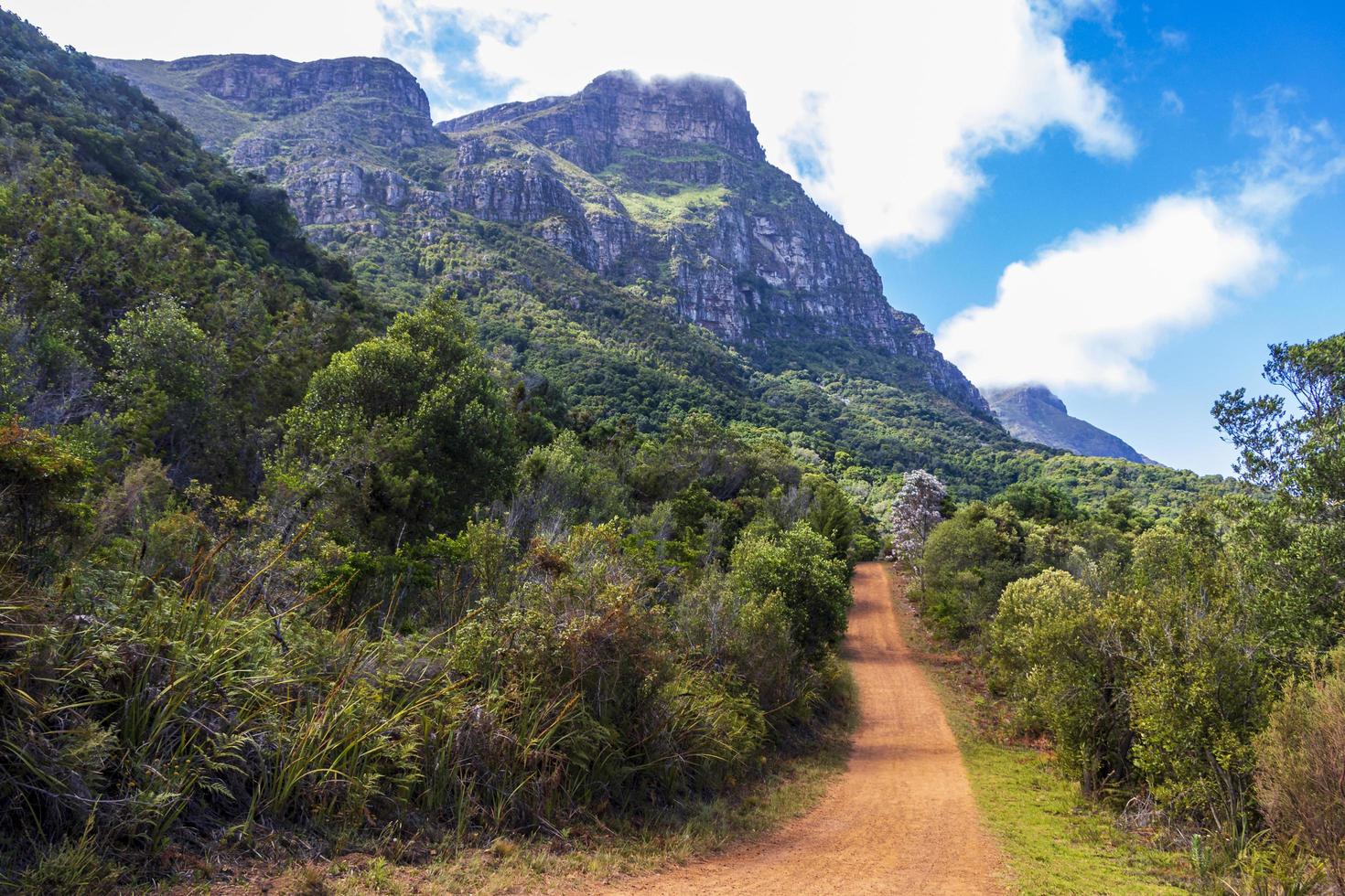 Big mountains and trails Kirstenbosch National Botanical Garden, Cape Town. photo