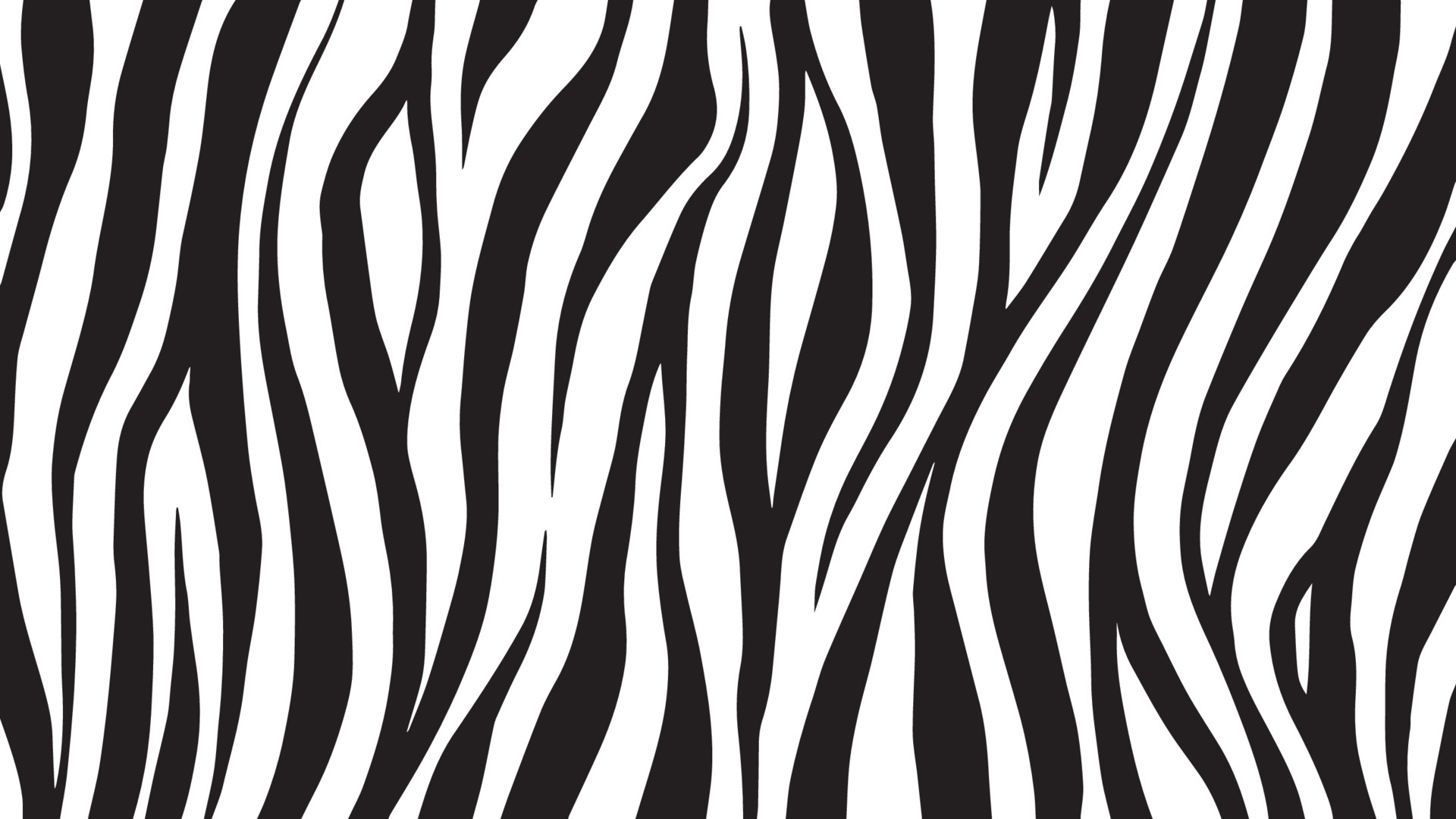 Zebra Stripes Background