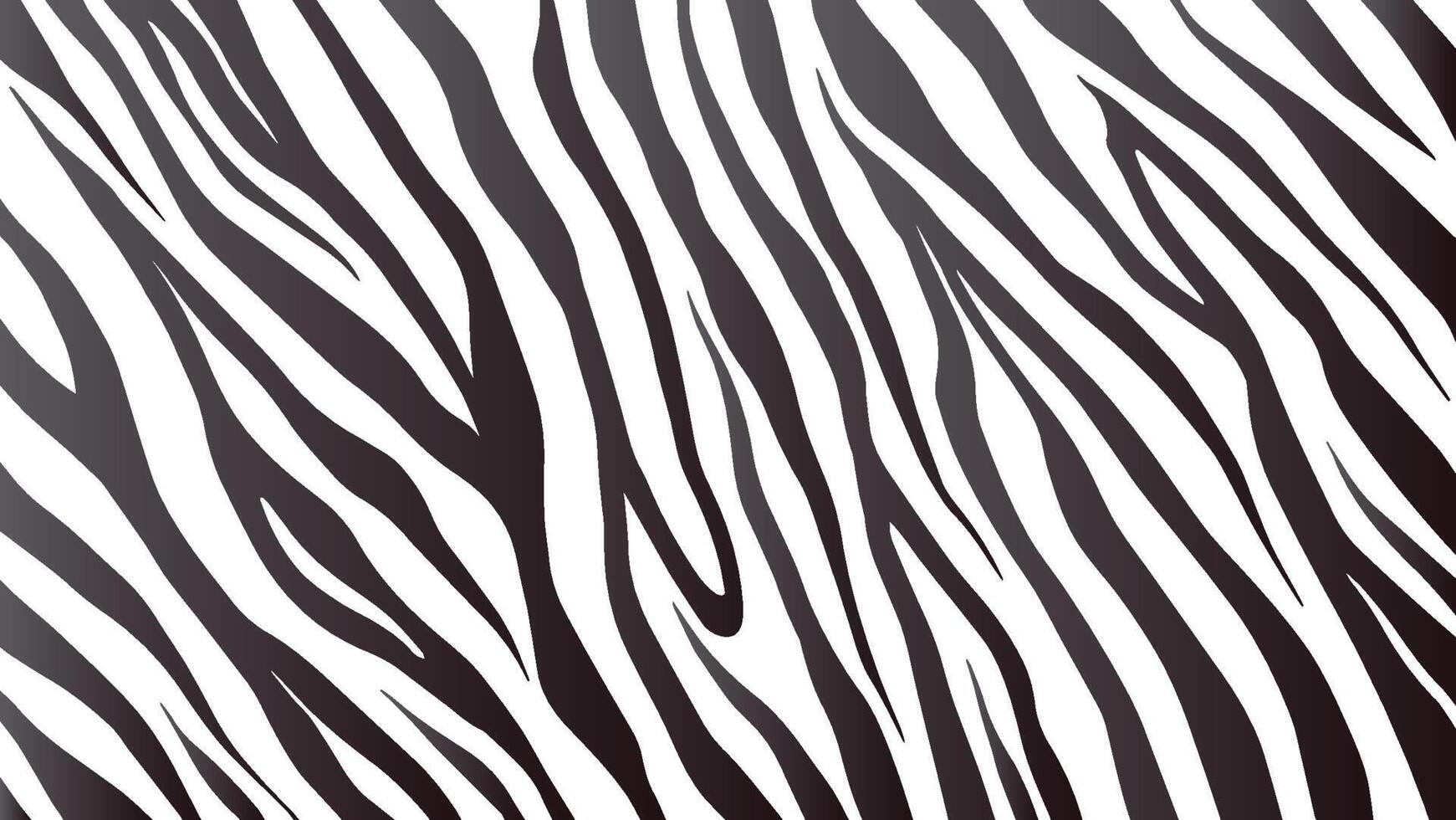 Background of Zebra Stripes vector