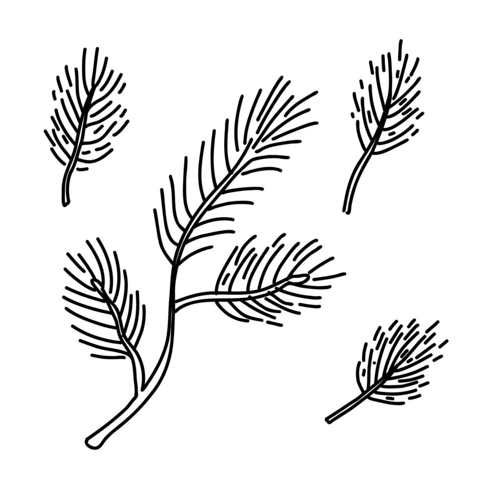 Pine tree branches set hand drawn illustration isolated on white. vector