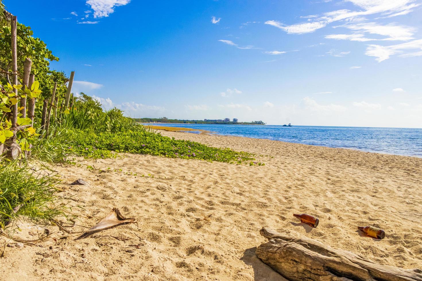 Tropical mexican beach with palm trees Playa del Carmen Mexico. photo