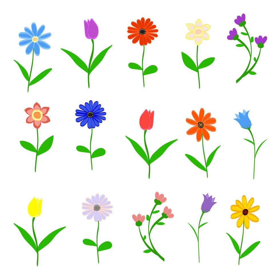 Conjunto de flores de primavera dibujadas a mano aislado en la ilustración de vector de fondo blanco