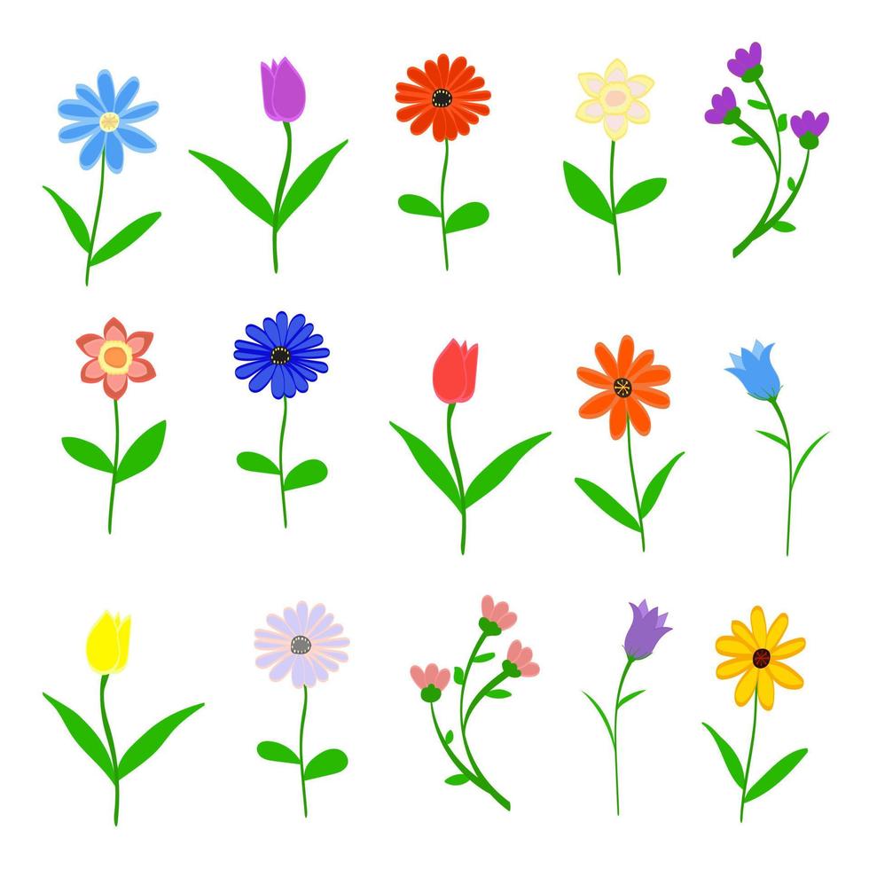 Hand drawn Spring flowers set isolated on white background vector illustration