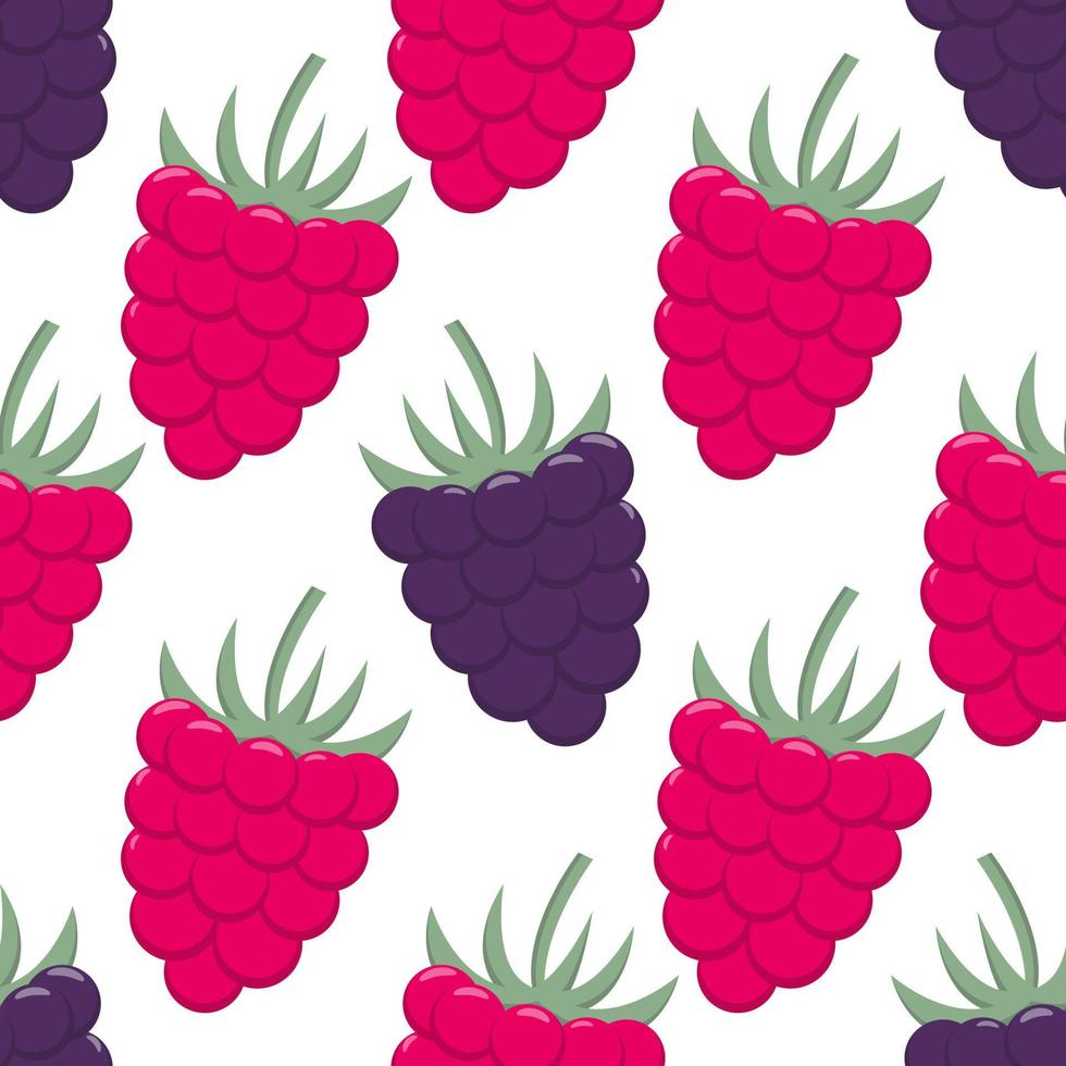 Blackberries and raspberries seamless pattern vector