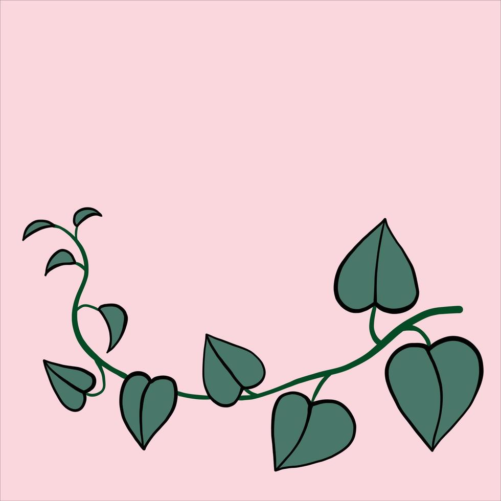 simplicity ivy freehand drawing flat design. vector