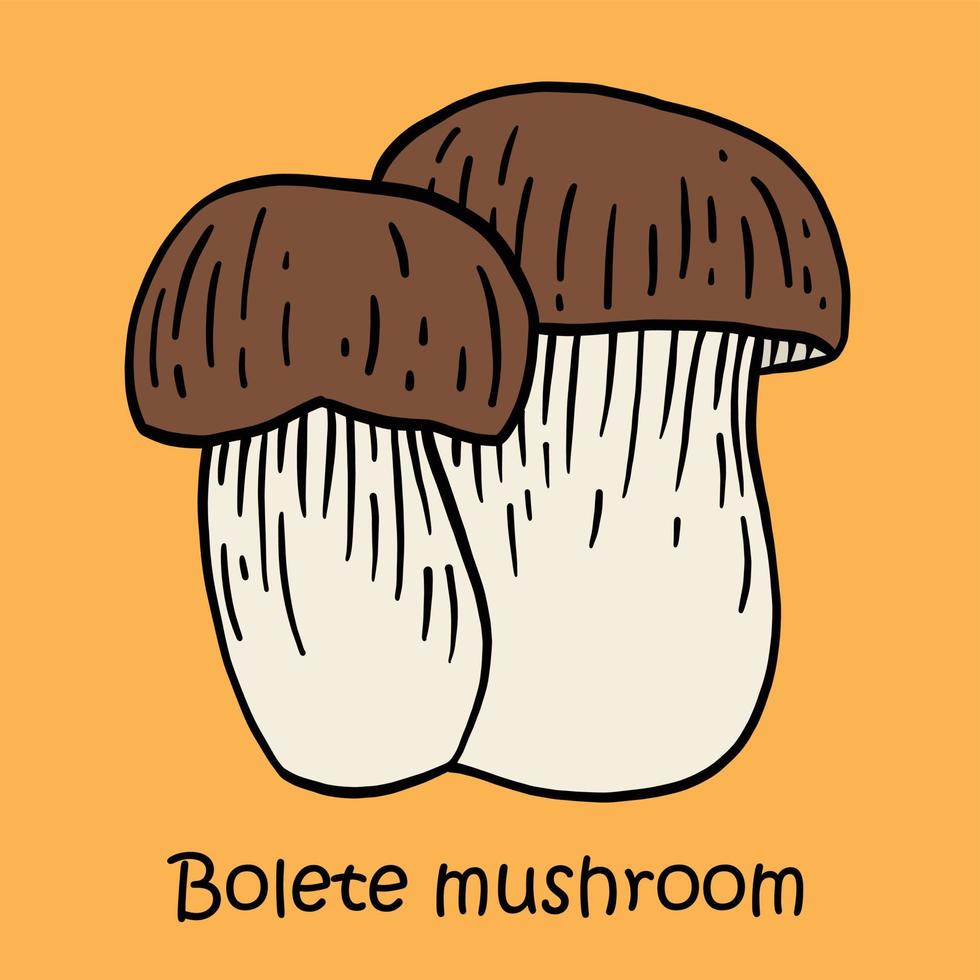 Doodle dibujo a mano alzada de seta bolete. vector