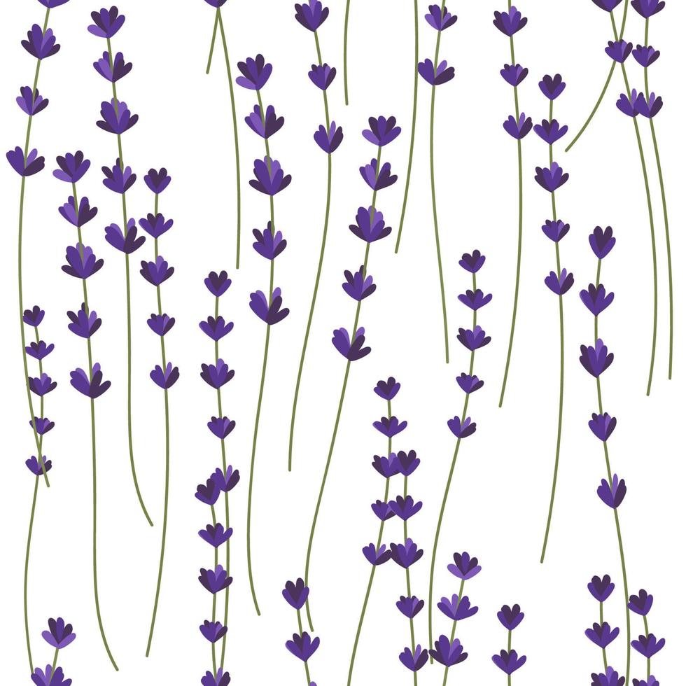Lavender decorative pattern. Seamless pattern for fabric, paper other printing and web projects. Watercolor background. on white vector