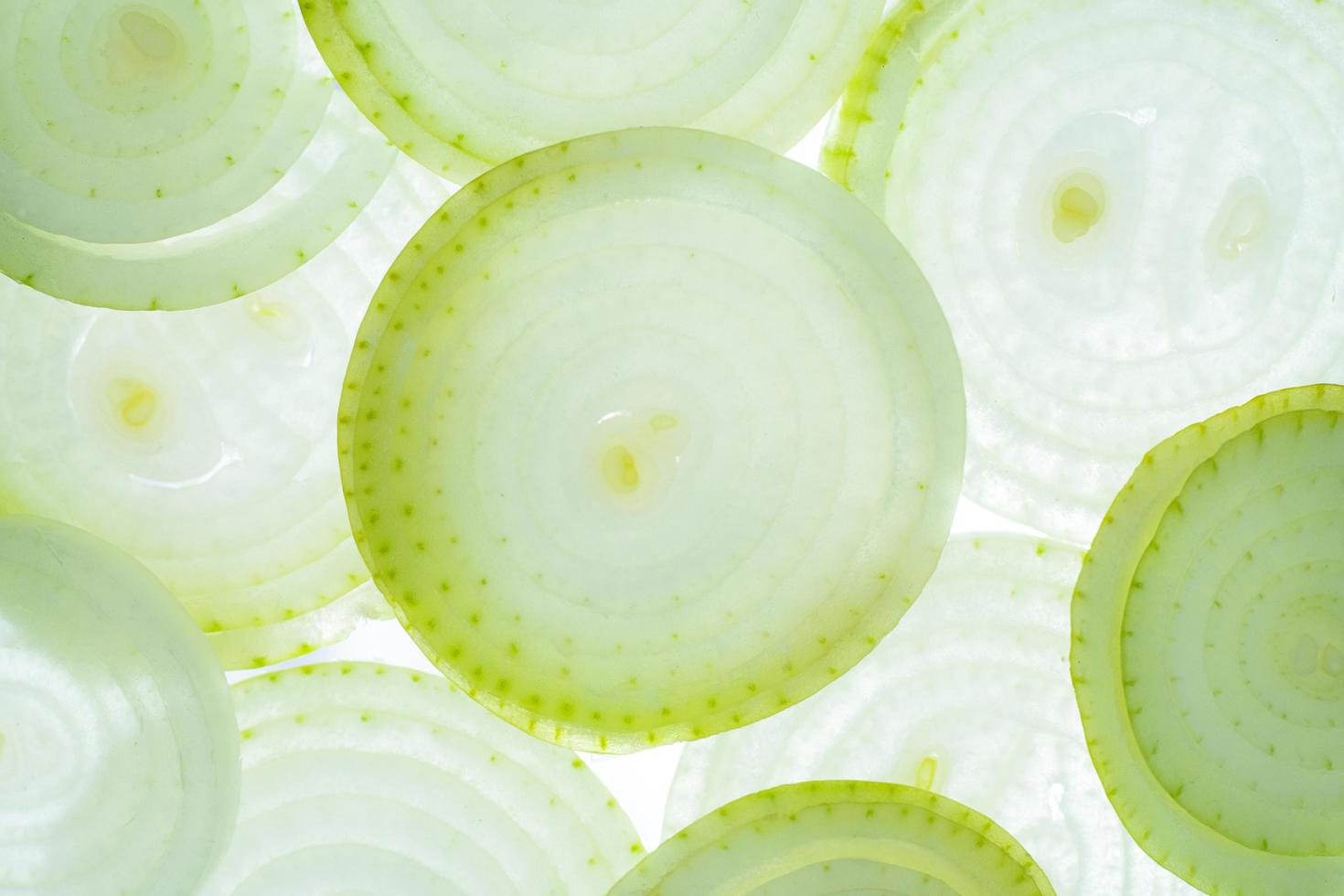 onion slices background. collection of fruit and vegetable pattern backgrounds. natural green white background in full frame. photo