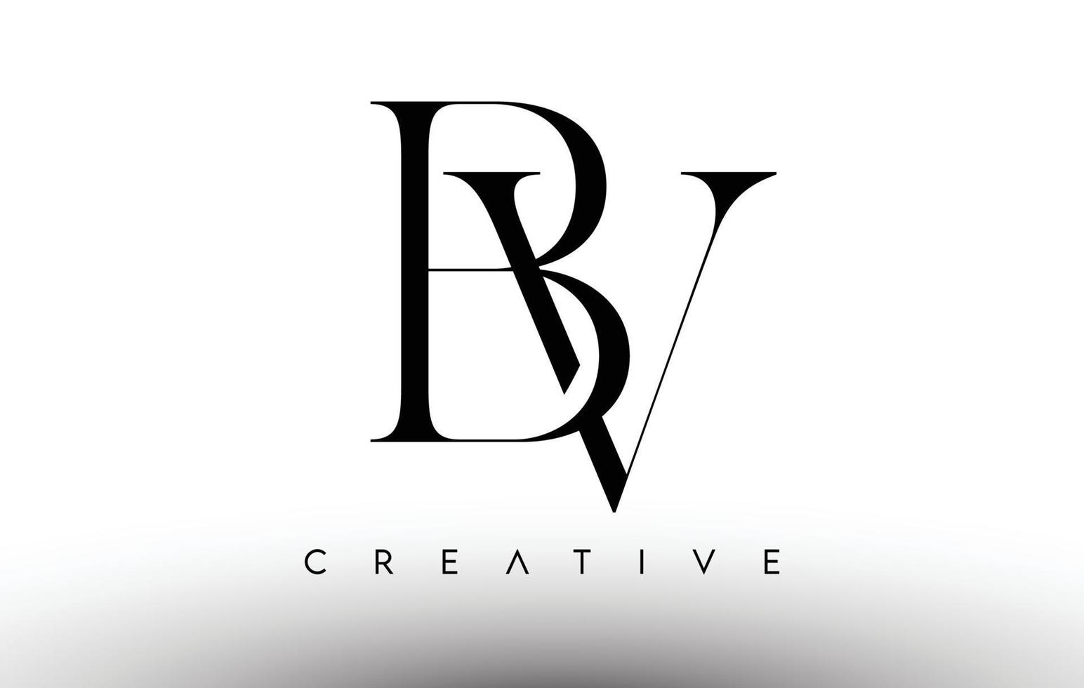 Logotipo de letra moderna serif minimalista bv en blanco y negro. bv creative serif logo diseño icono vector