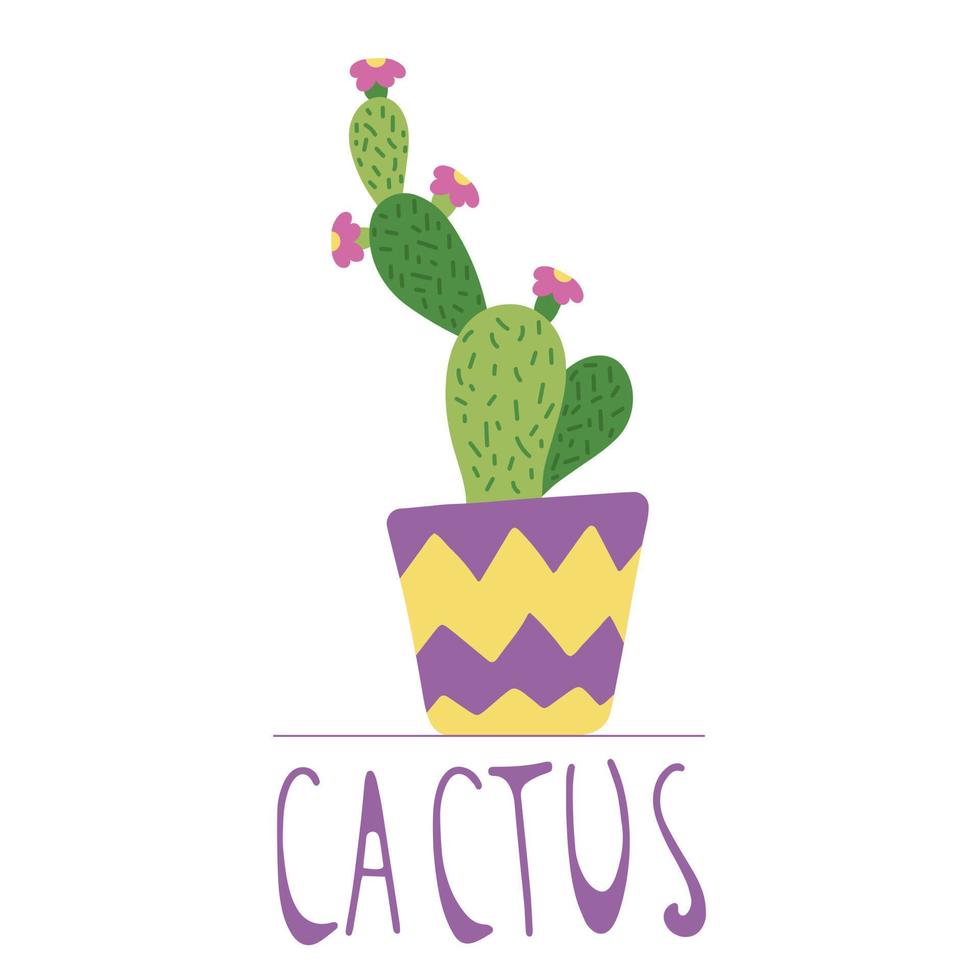 Hand drawn cactus in a colourful ceramic pot, doodle style, isolated on a white background. vector