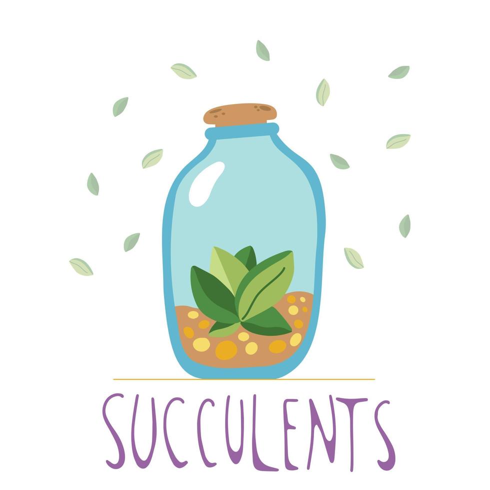 Hand drawn succulent in a glass bottle with dirt in it, doodle style, isolated on a white background. vector