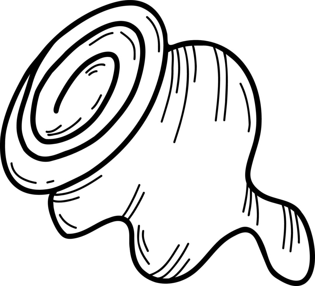 Beautiful shell. Vector illustration