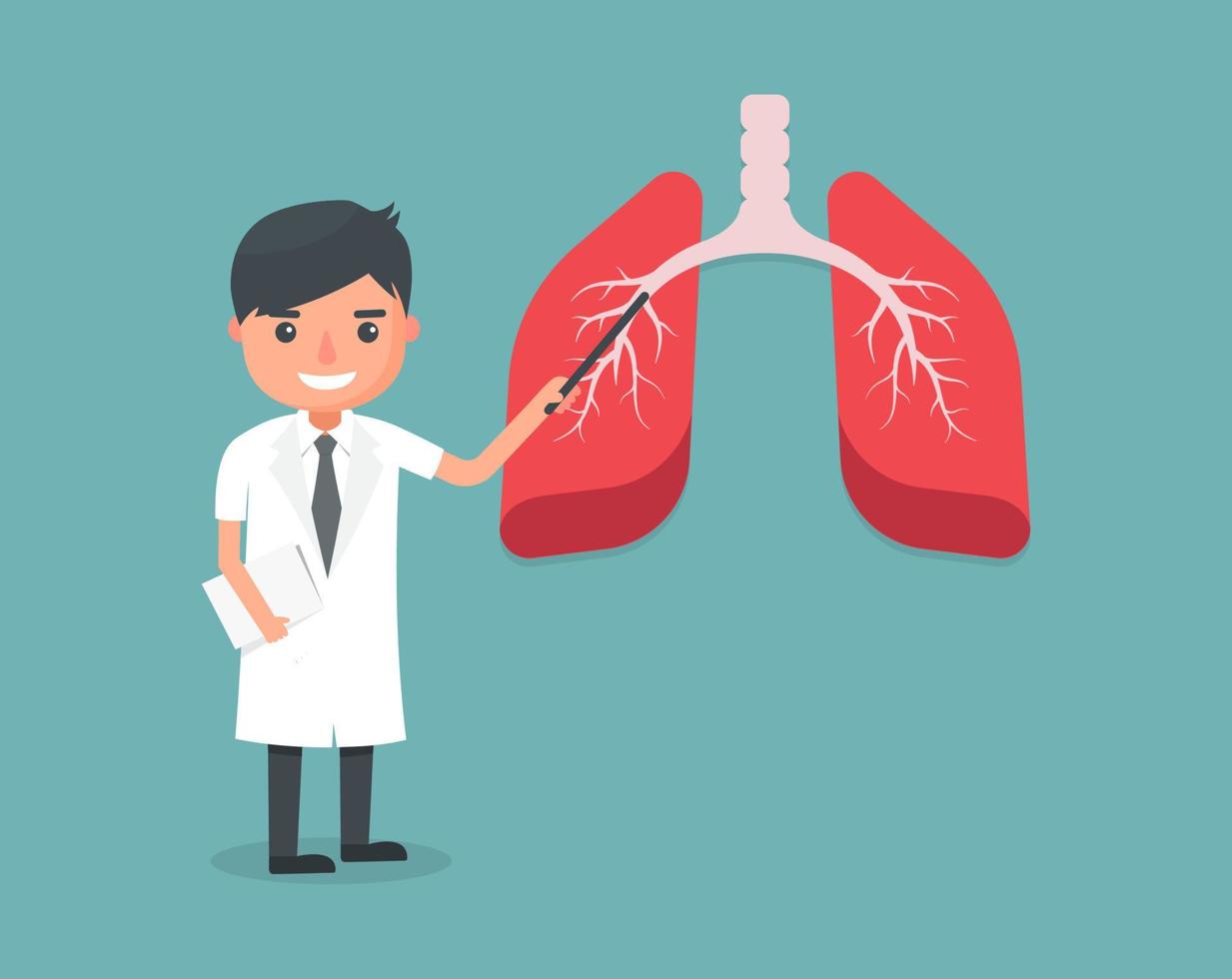 médico muestra el sistema pulmonar. ilustración vectorial vector