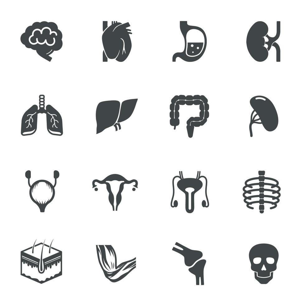 Human Internal Organs Icons. Vector illustration