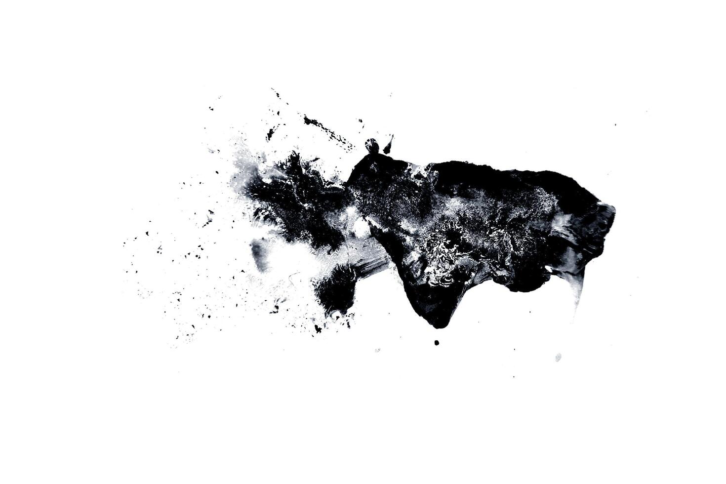 Collection abstract of ink stroke and ink splash for grunge design elements. Black paint stroke and splash texture on white paper. Hand drawn illustration brush for dirty texture photo