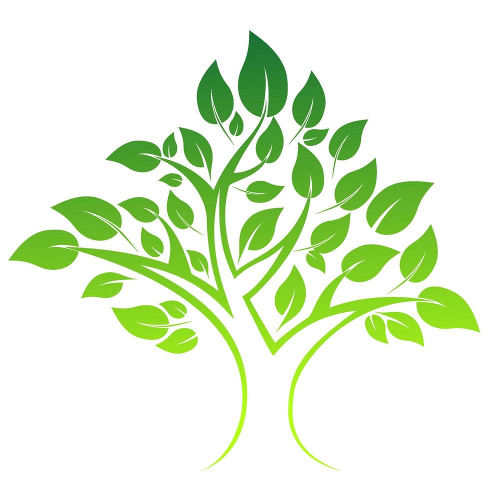 tree vector illustration leaves ecology