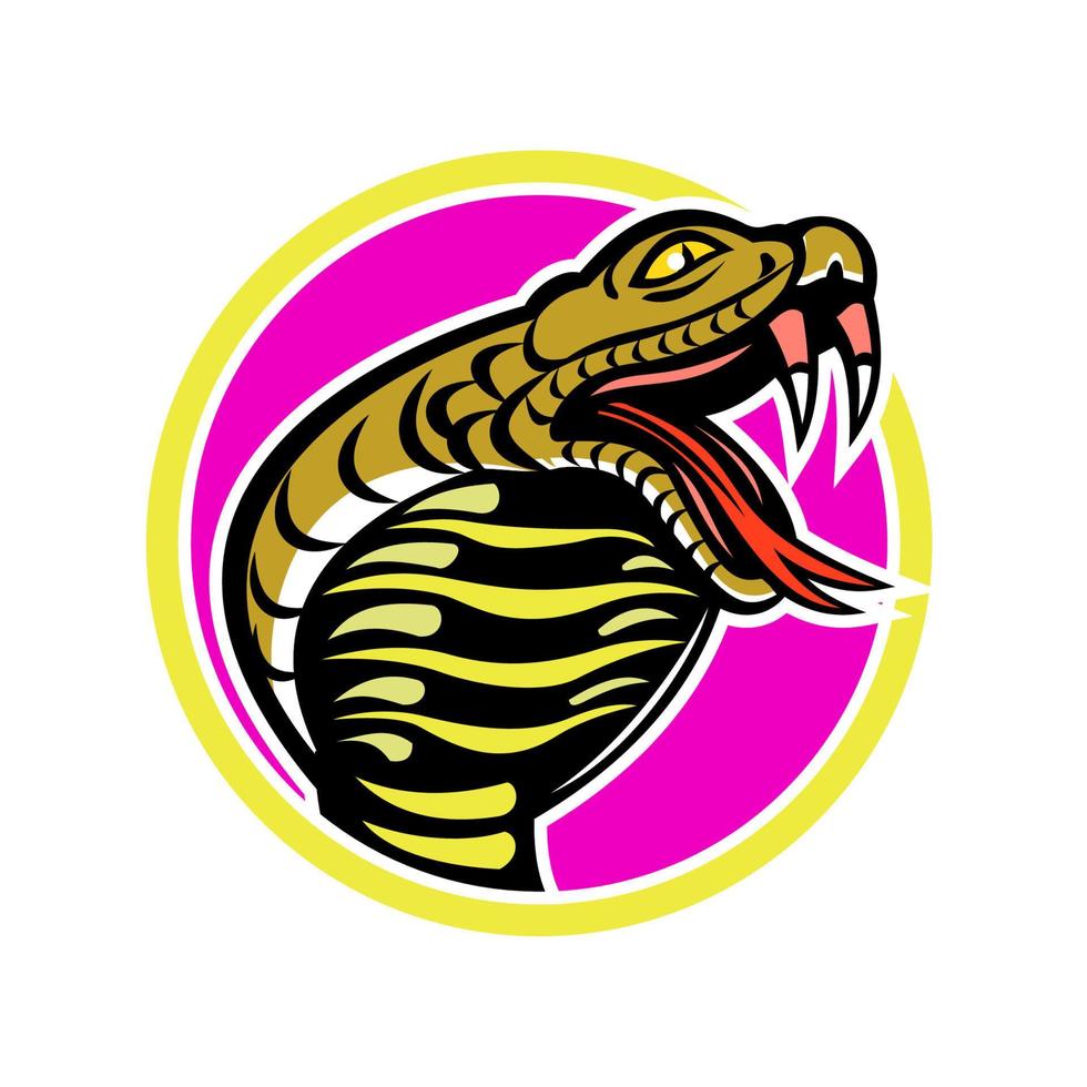 cobra snake head mascot retro vector