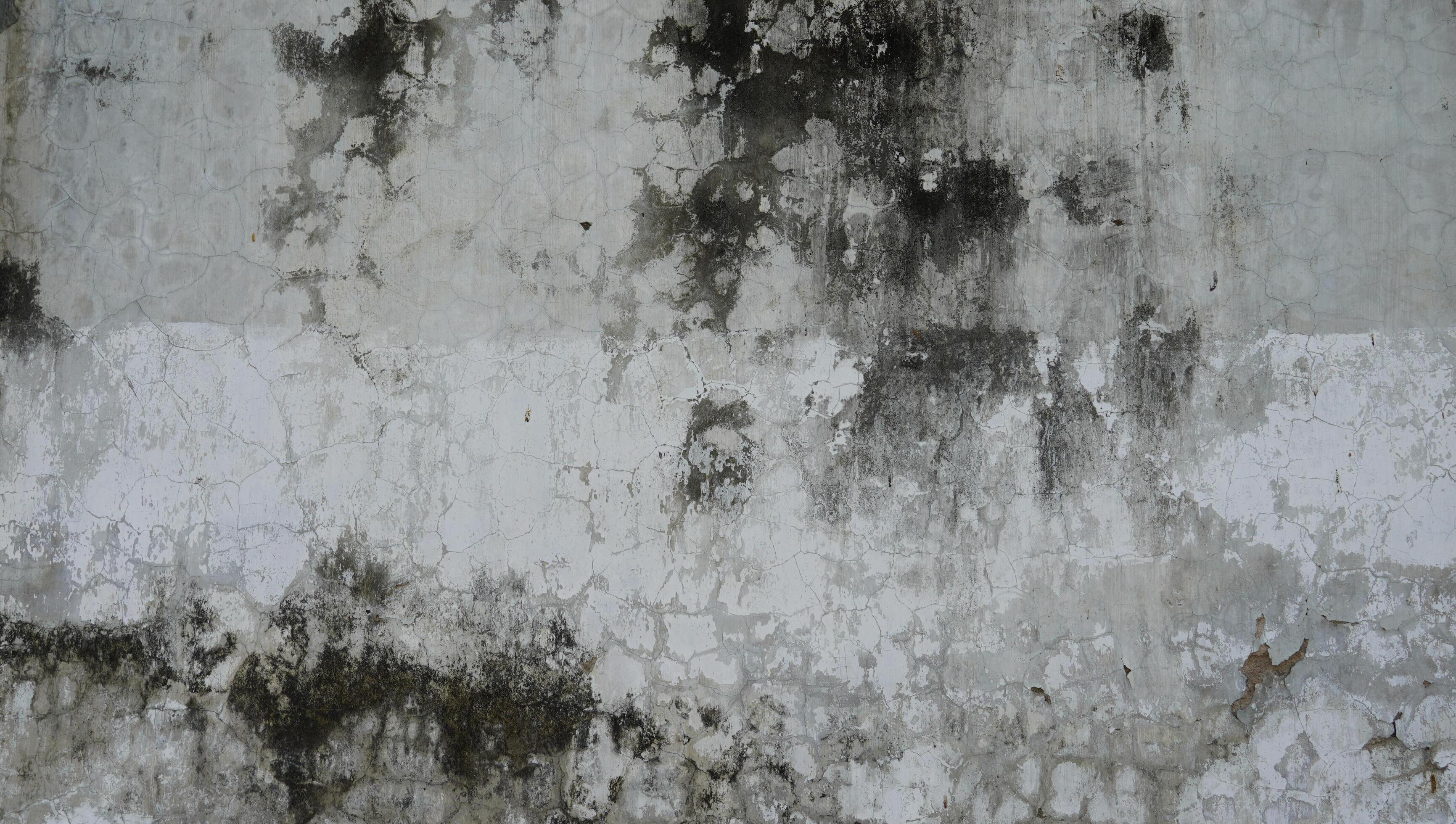 rough wall texture background collection. damaged dirty mossy concrete wall surface. 3d textured background for interior, decoration, wallpaper, etc. 4690478 Stock Photo at Vecteezy rough wall texture background collection. damaged dirty mossy concrete wall surface. 3d textured background for interior, decoration, wallpaper, etc. 4690478 Stock Photo at Vecteezy
