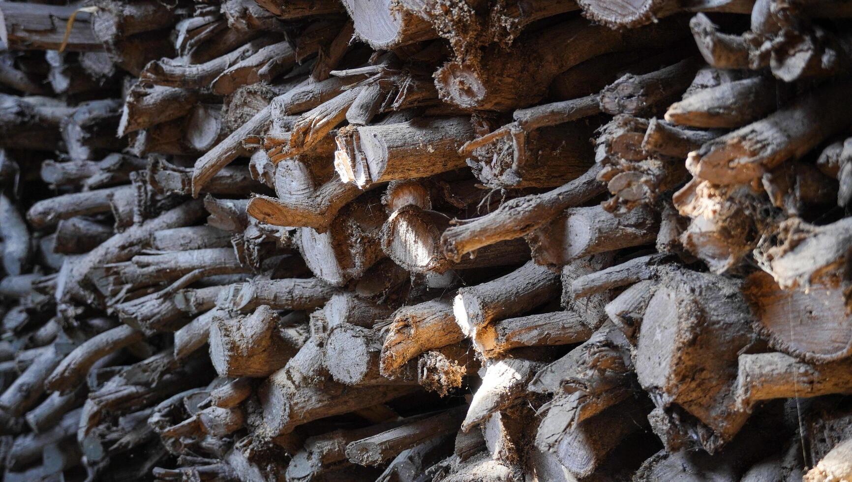 la pila de leña proviene de muchos troncos de árboles o desechos de la silvicultura. la leña se amontona para guardarla para la próxima necesidad. foto