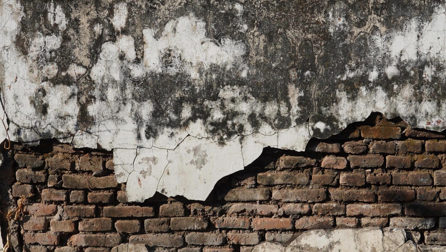 el cemento desgastado y la pared de ladrillos de la que se ha
