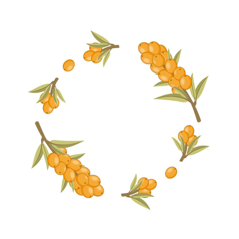 Round frame made of sea buckthorn twigs. Flower frame for photo decoration. Place under the photo or caption. Making an invitation card for a wedding. vector