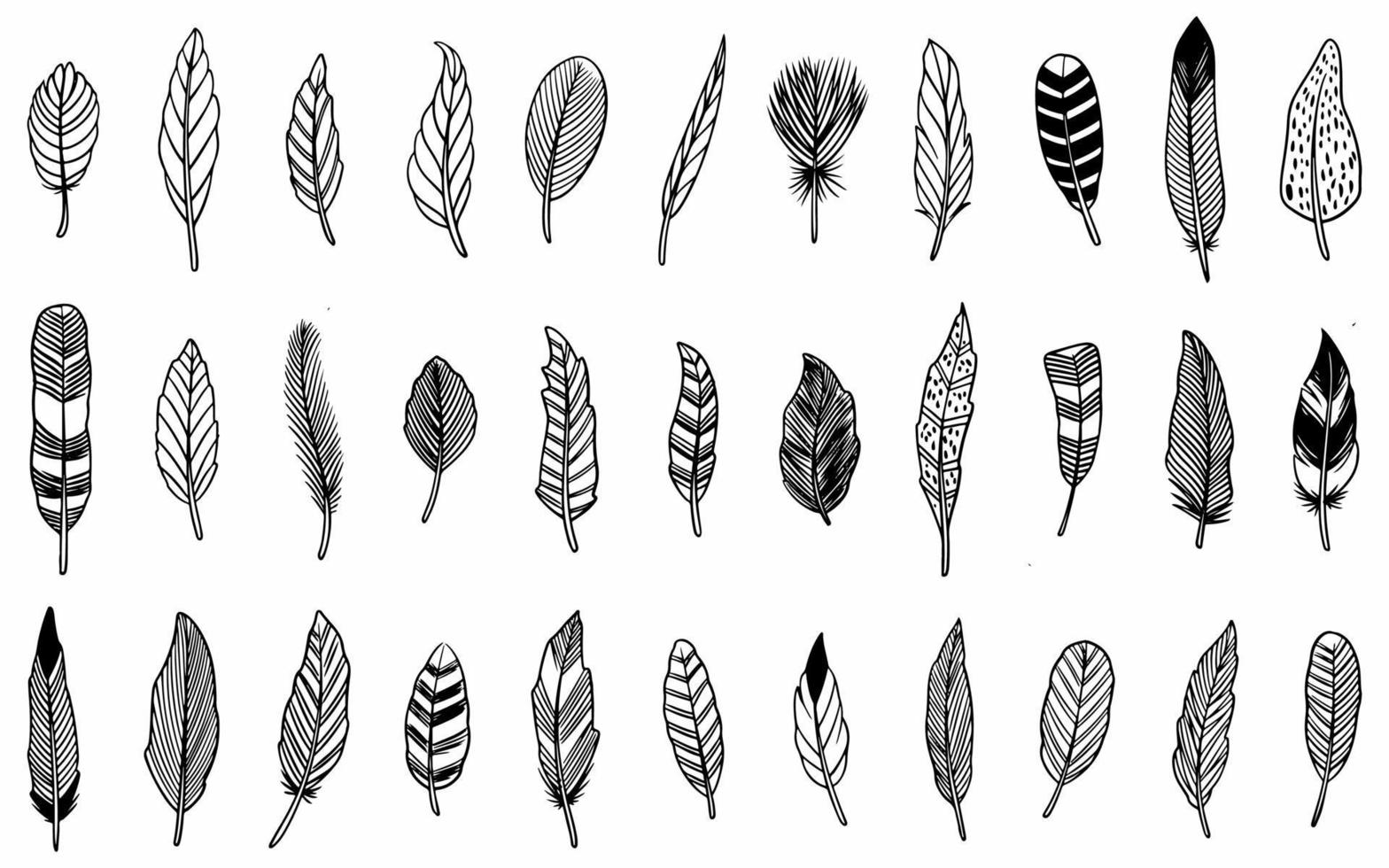 Set of ethnic hand drawn feather vector