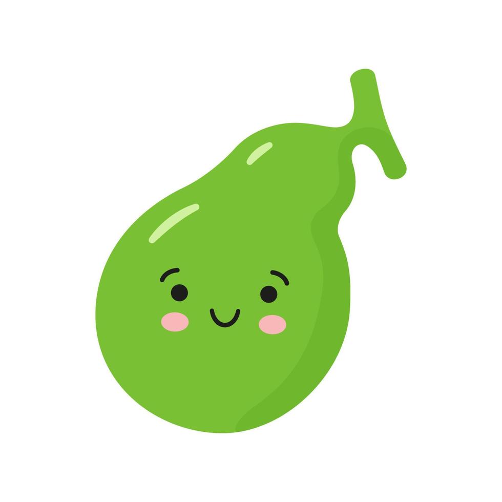 Happy healthy gallbladder. Vector isolated illustration on white background