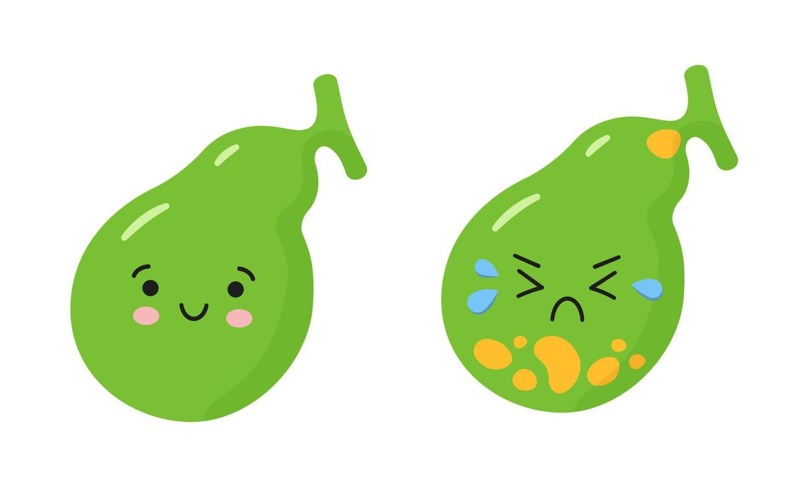 Happy healthy gallbladder and sick sad gallbladder with stones. Characters to illustrate the problem of cholecystitis, gallstone disease. vector