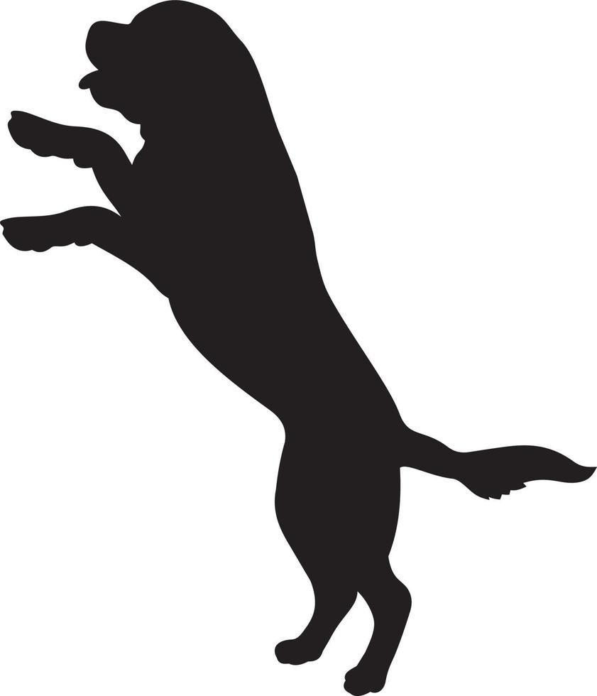 Cane Corso silhouette vector