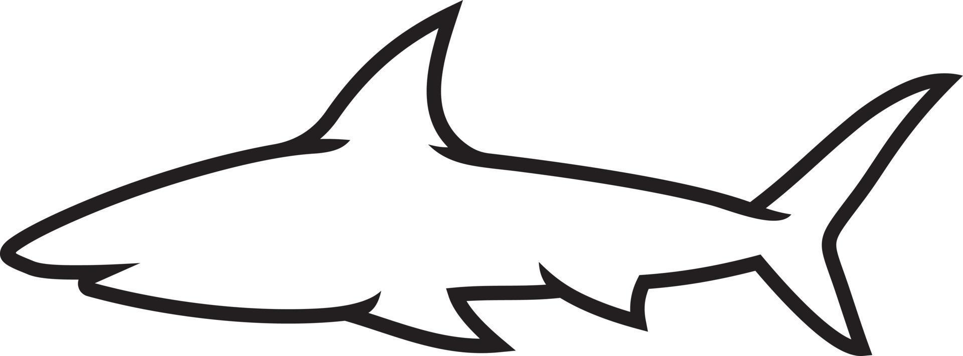 Shark outline vector 4692524 Vector Art at Vecteezy