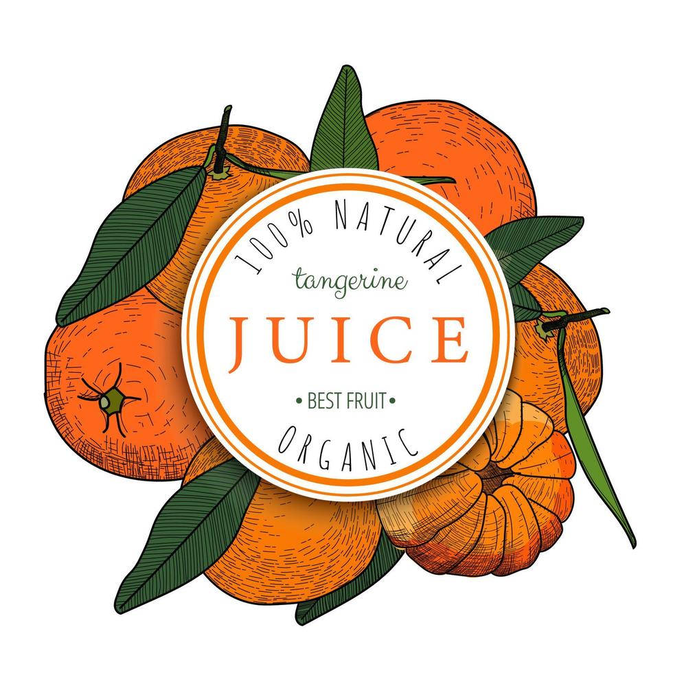Emblema redondo de jugo de mandarina sobre fondo con mandarina dibujados a mano. ilustración vectorial en estilo boceto aislado sobre fondo blanco vector