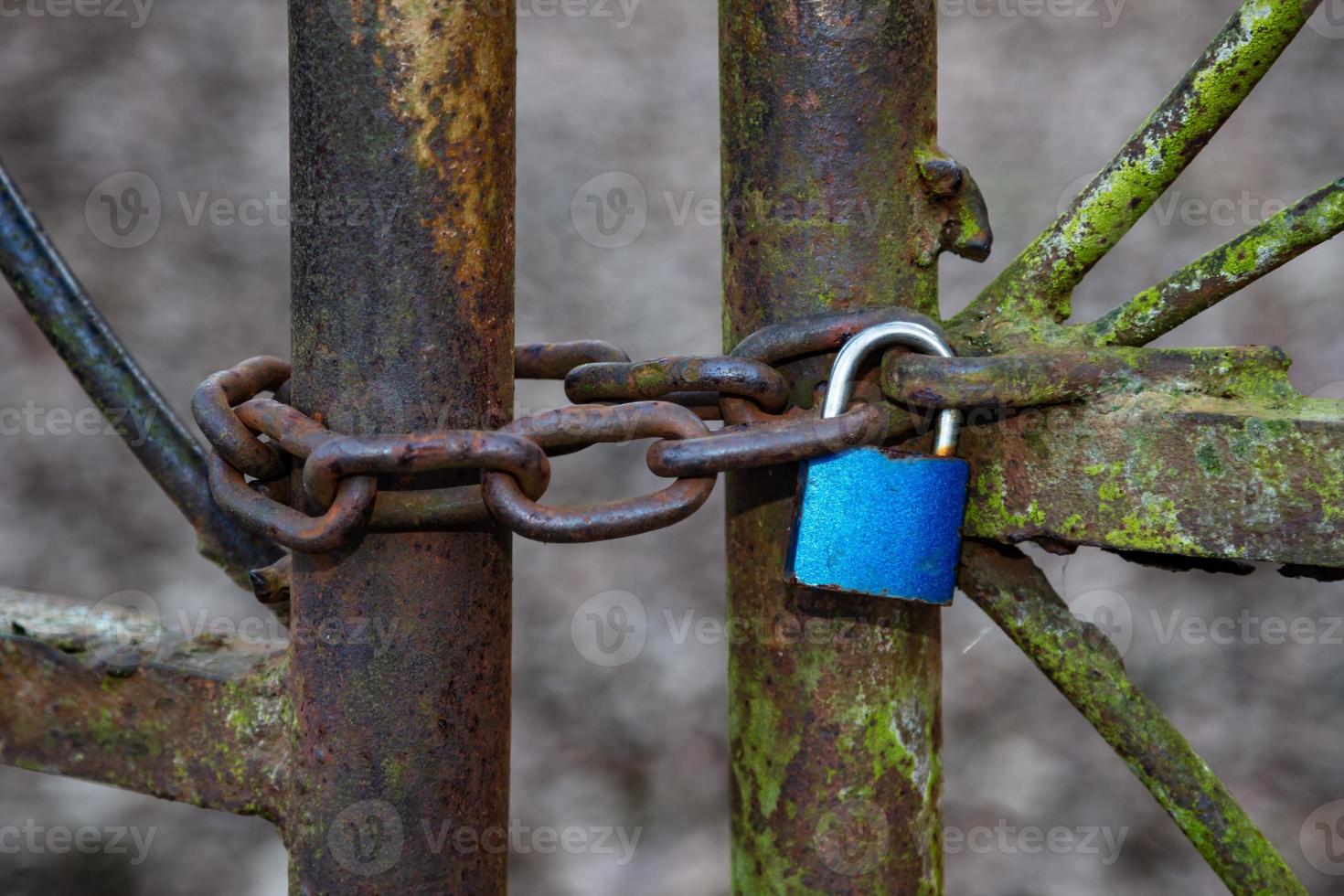 Old rusty and aged gate. Weathered door locked with padlock. photo