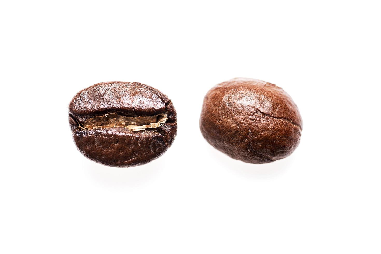 Closeup coffee bean isolated photo