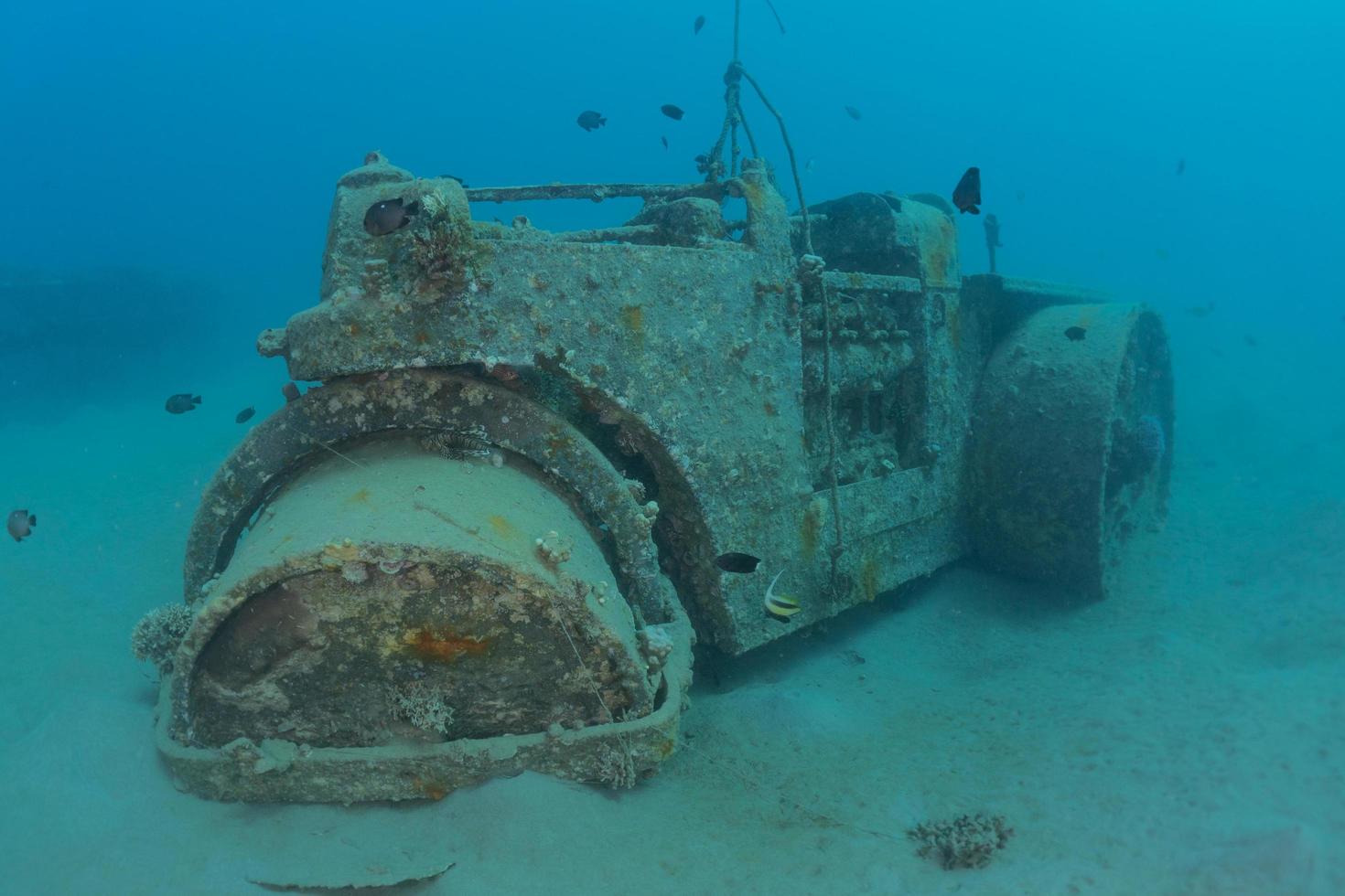 Sea pollution in metals and other garbage in the Red Sea photo