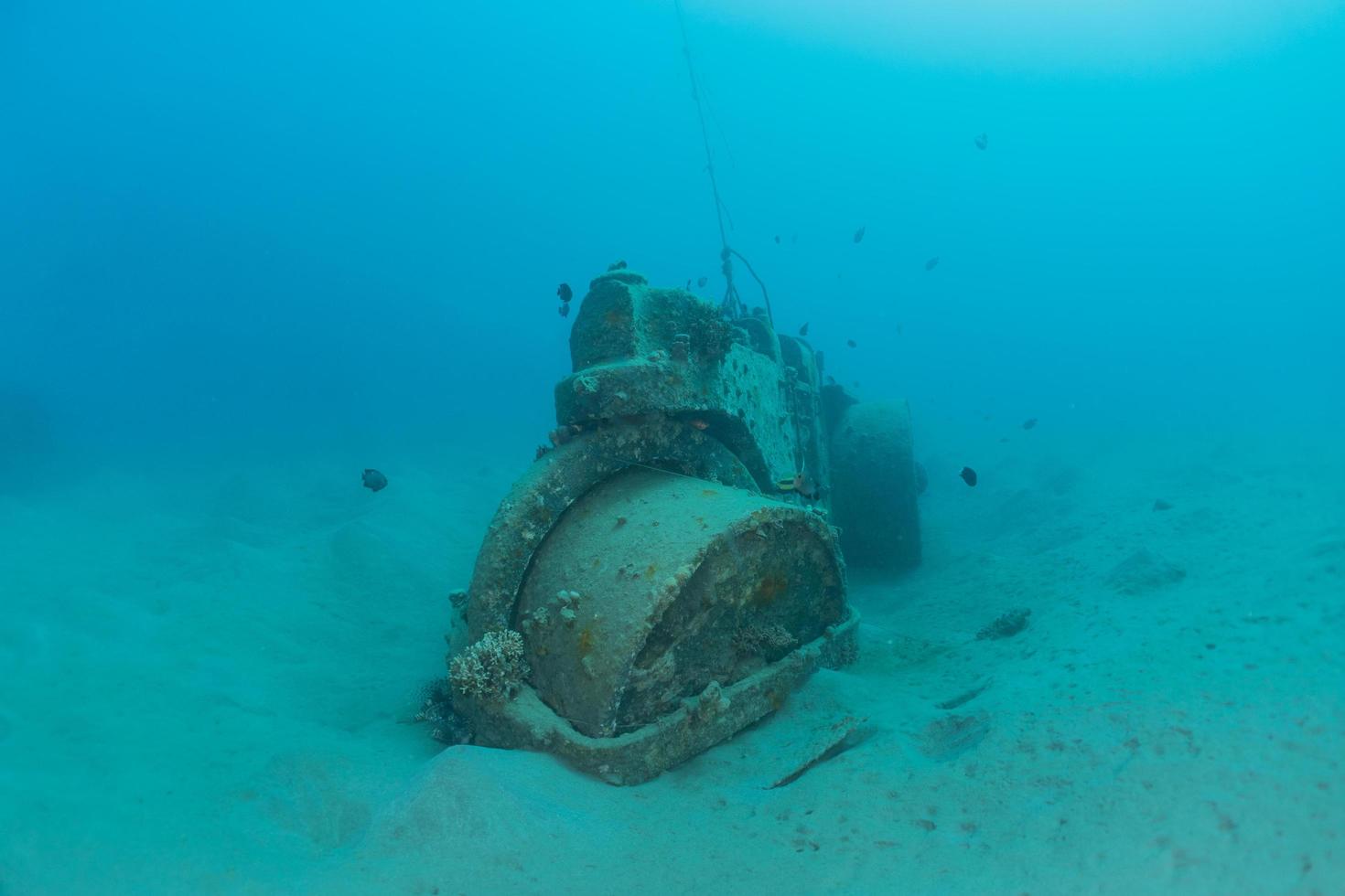 Sea pollution in metals and other garbage in the Red Sea photo