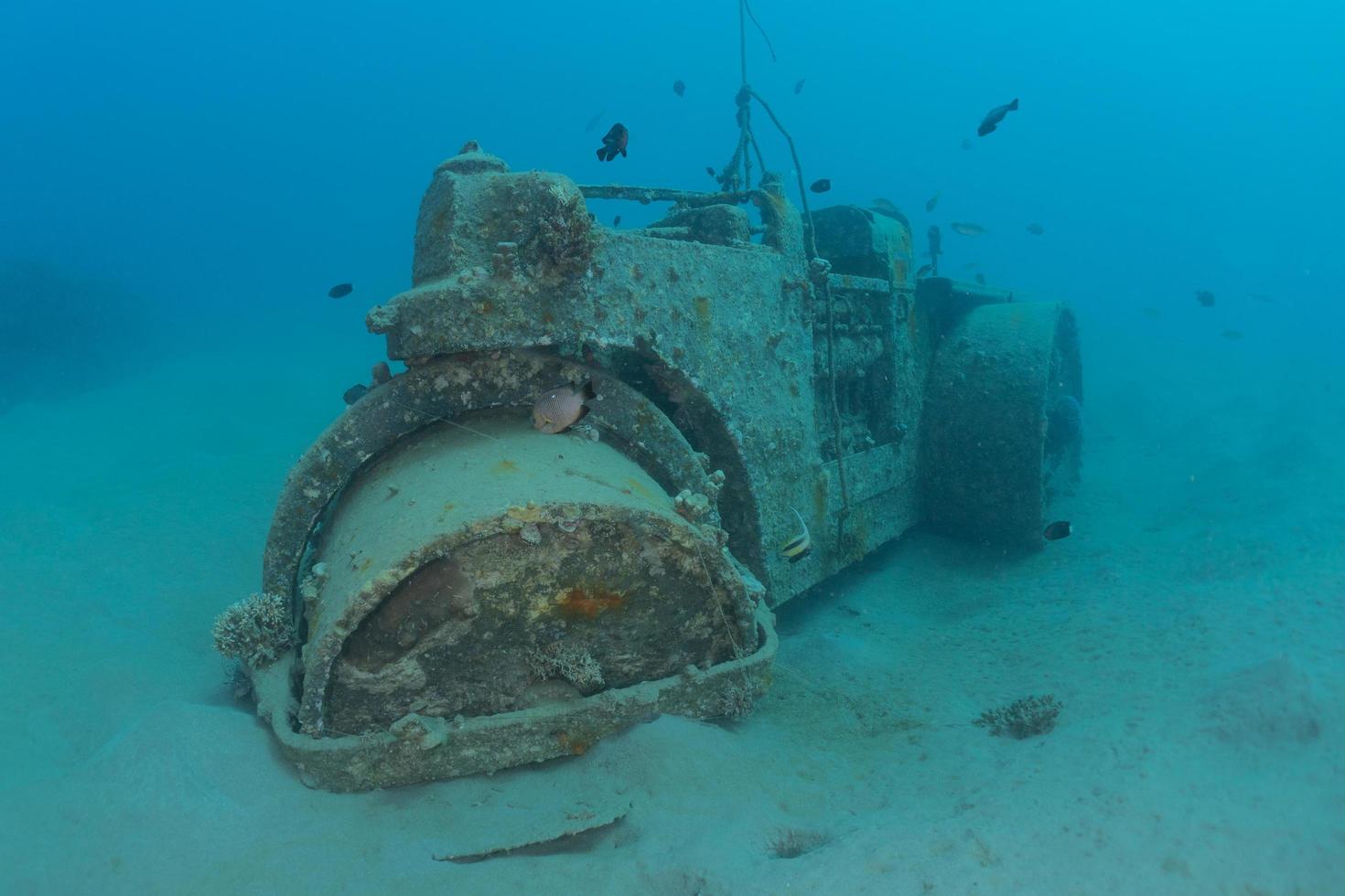 Sea pollution in metals and other garbage in the Red Sea photo