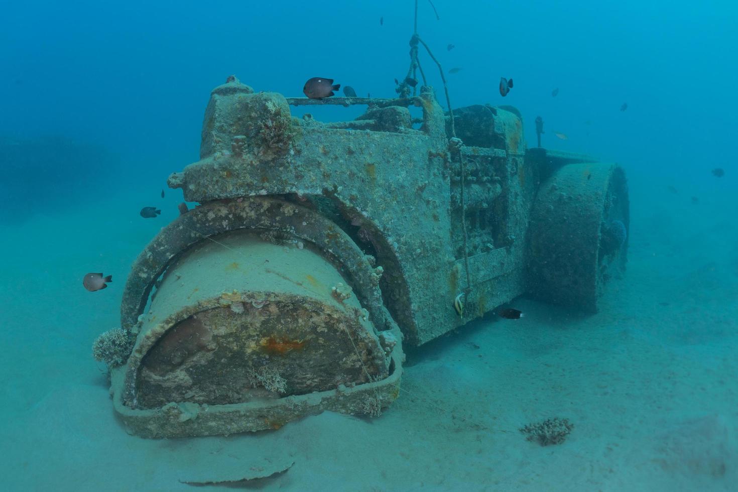 Sea pollution in metals and other garbage in the Red Sea photo