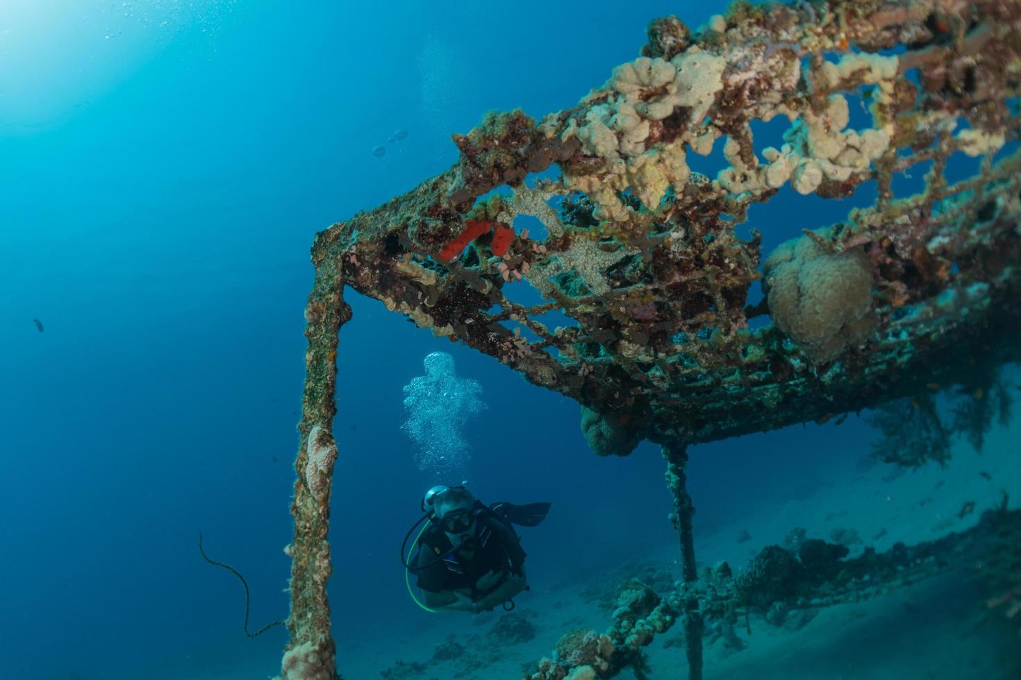 Sea pollution in metals and other garbage in the Red Sea photo