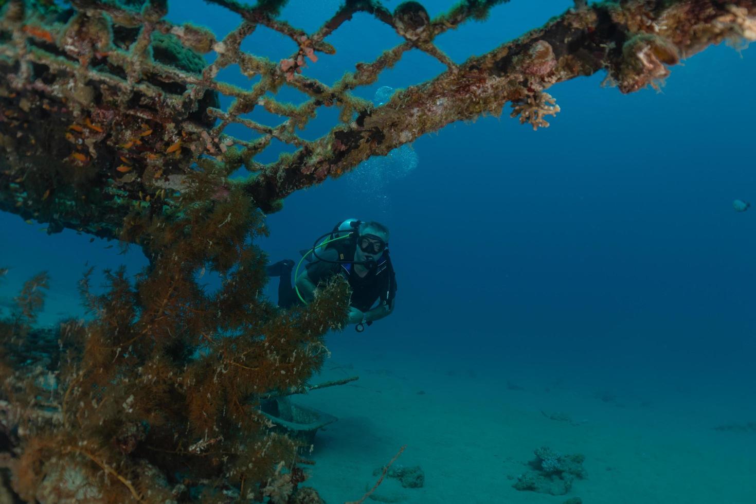 contaminación del mar en metales y otra basura en el mar rojo foto