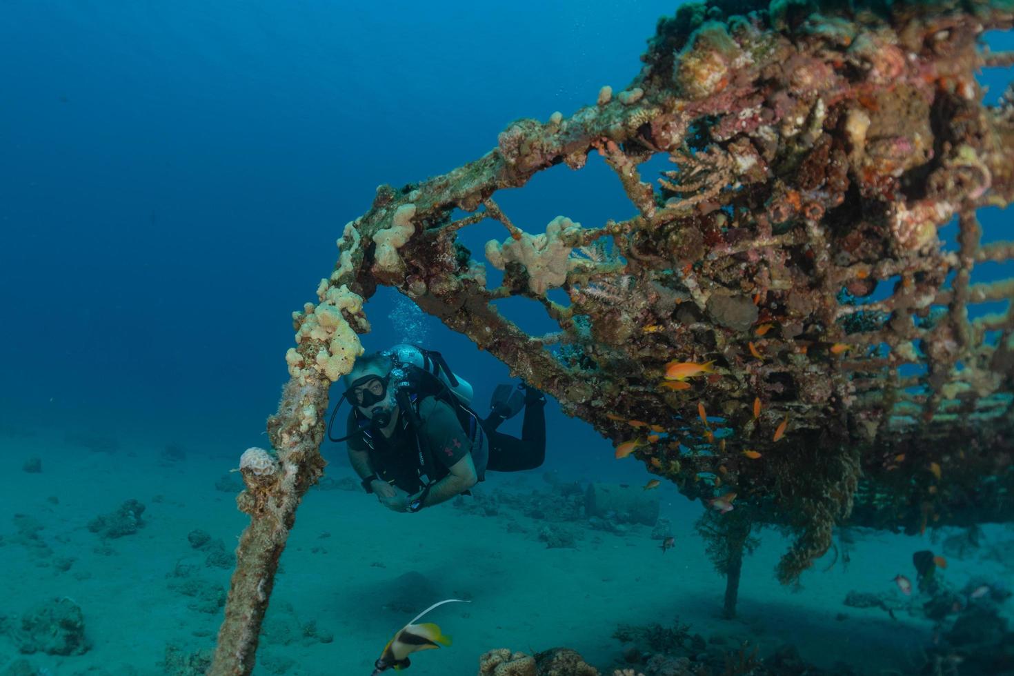 Sea pollution in metals and other garbage in the Red Sea photo