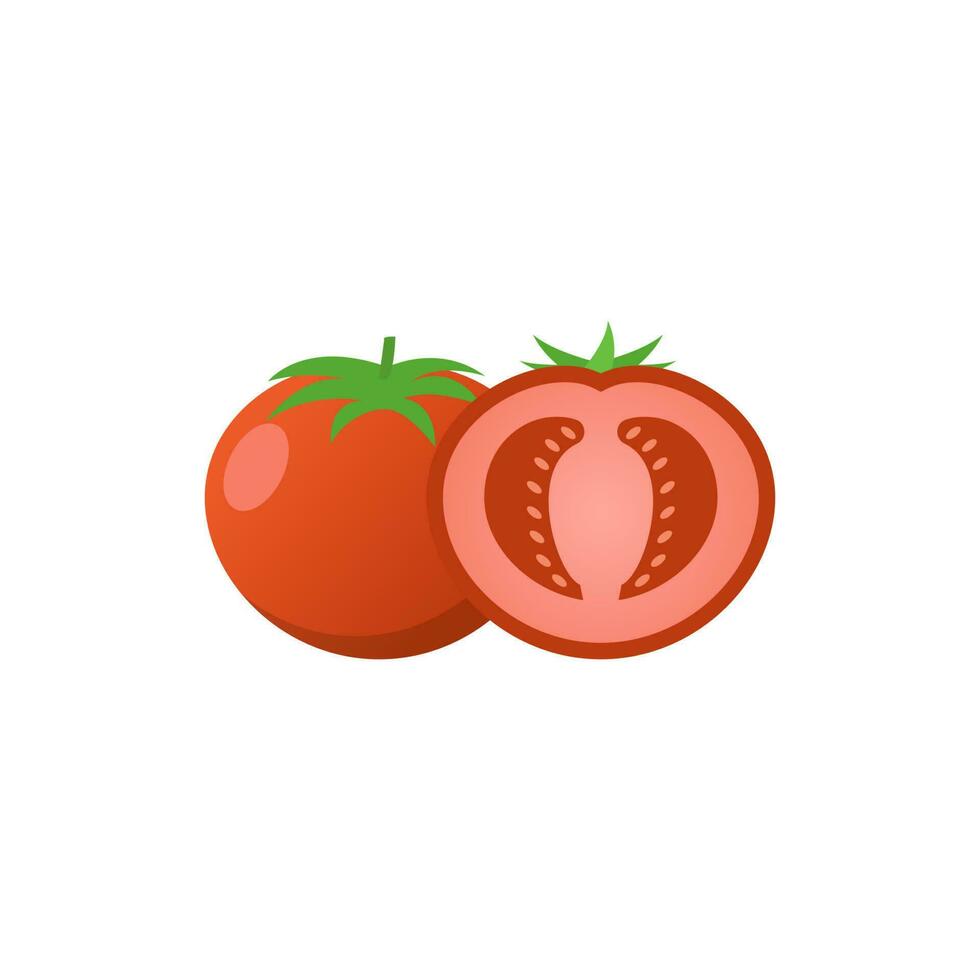 vector de fruta fresca de tomate