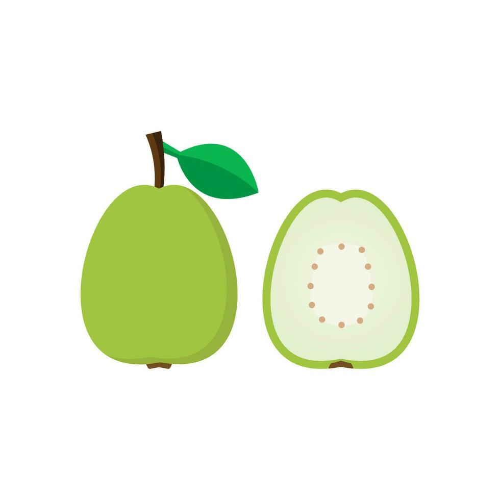 Guava fresh fruit vector