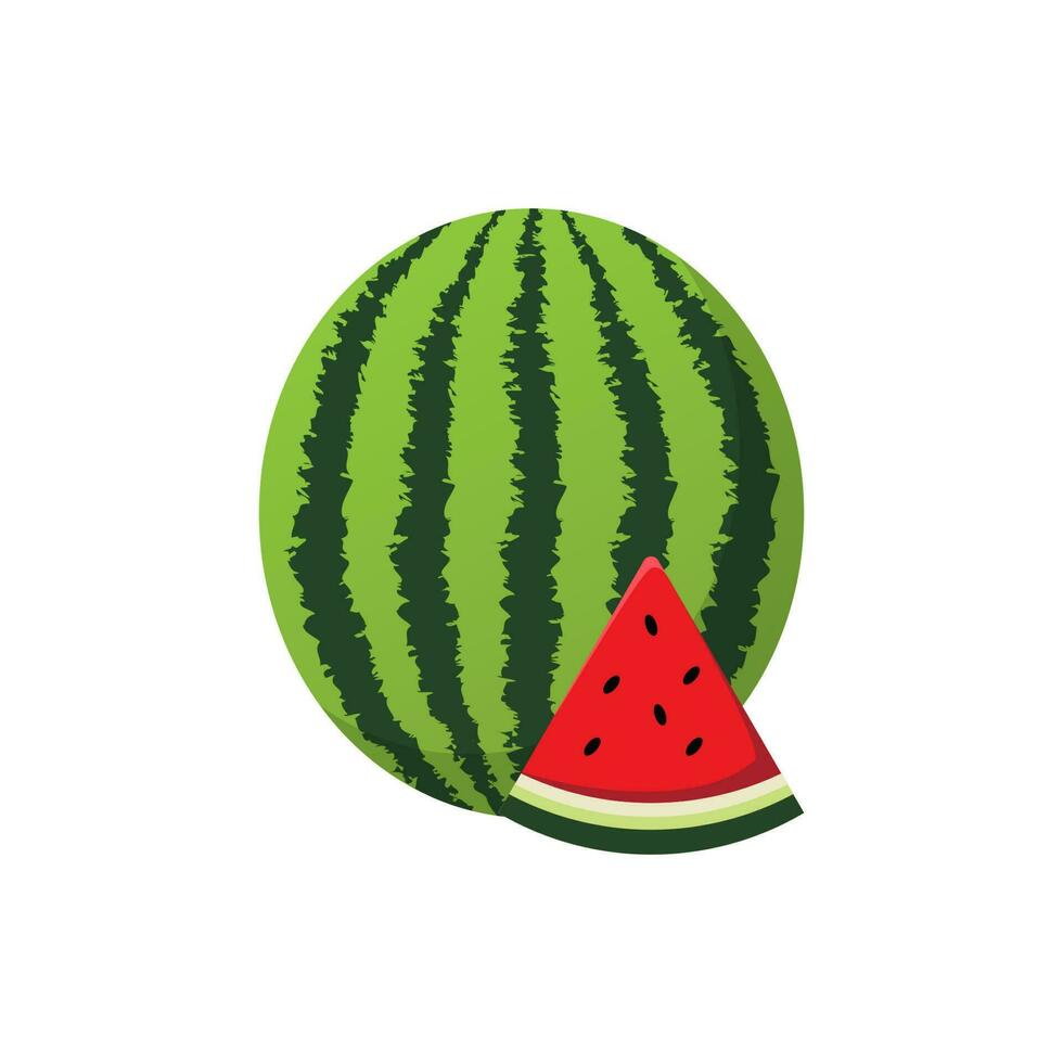 vector de fruta fresca de sandía