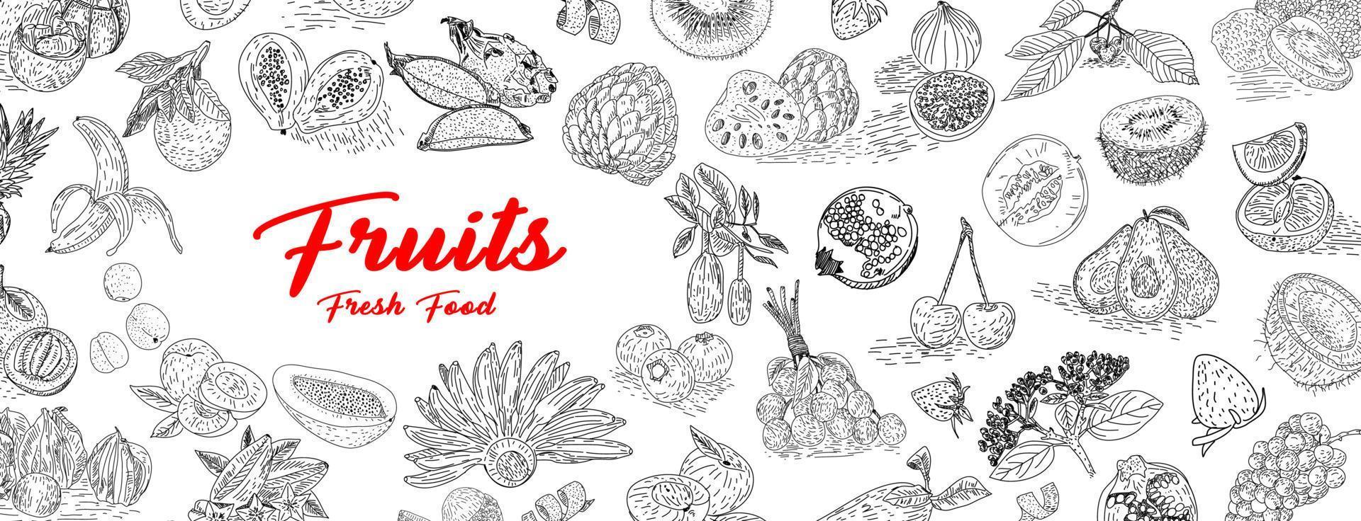 colección de frutas en estilo plano dibujado a mano, conjunto de ilustraciones. vector