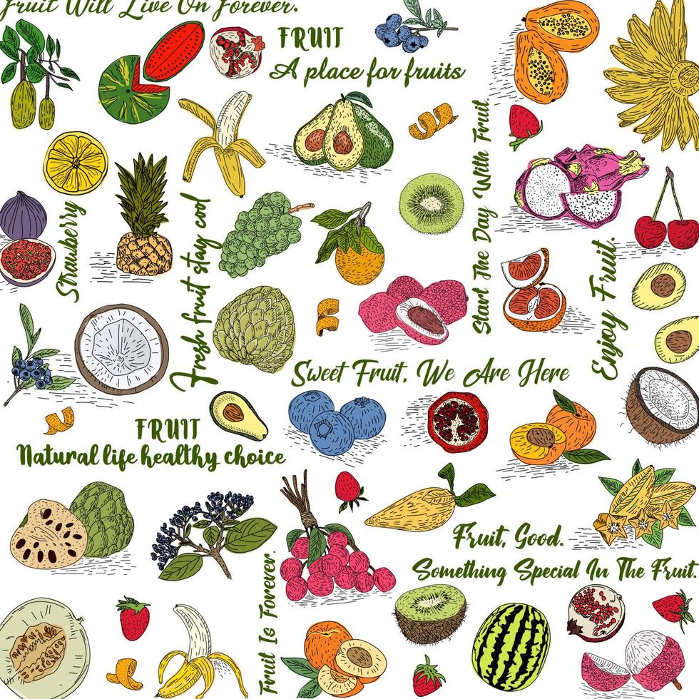 Vector hand drawn fruits pattern.