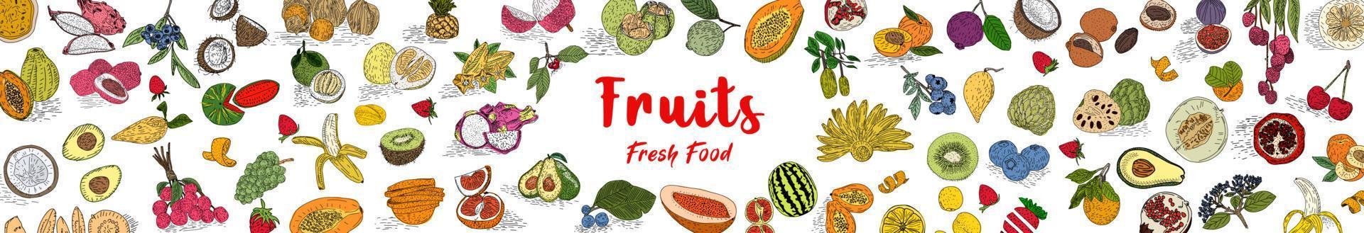 Fruit collection in flat hand drawn style, illustrations set. vector