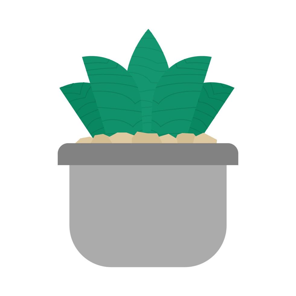 Succulent plant pot in a white background. Isolated. vector