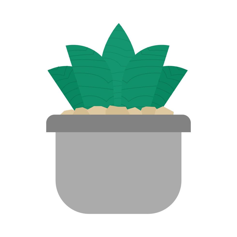 maceta de plantas suculentas en un fondo blanco. aislado. vector