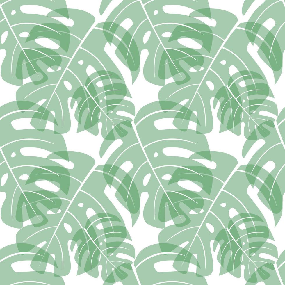 monstera leaf seamless pattern vector